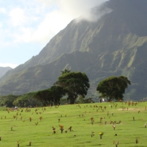 Oahu cemetary